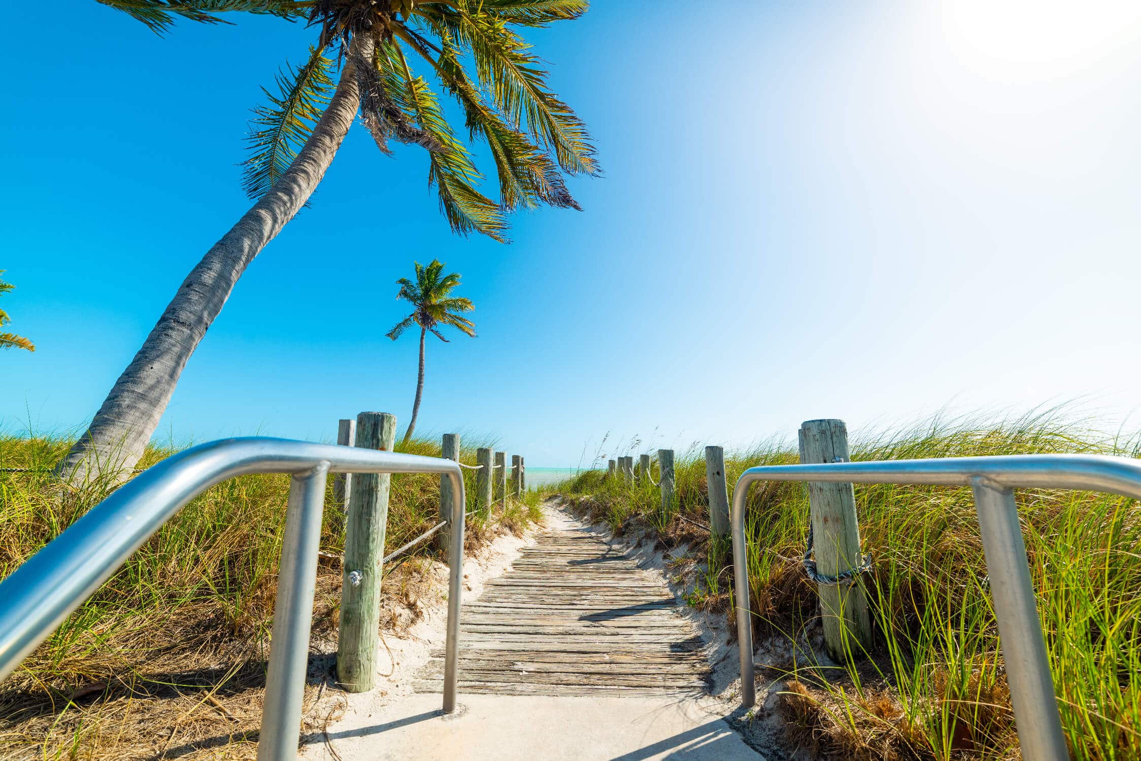 USA-Canada-Reisbeurs-Zuidelijke-Staten-En-Hawaii-Afbeelding