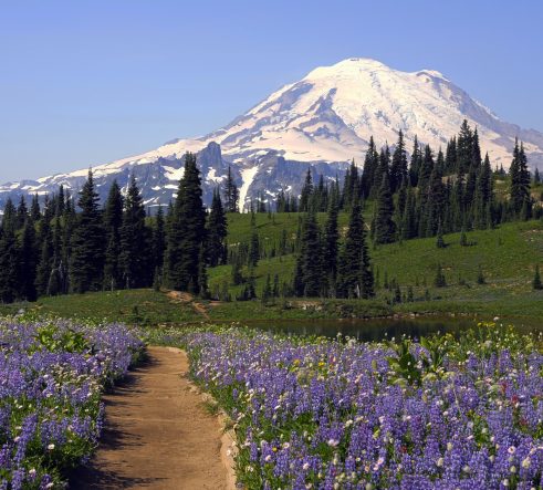Travel-Oregon-Travel-Portland-afbeelding-3