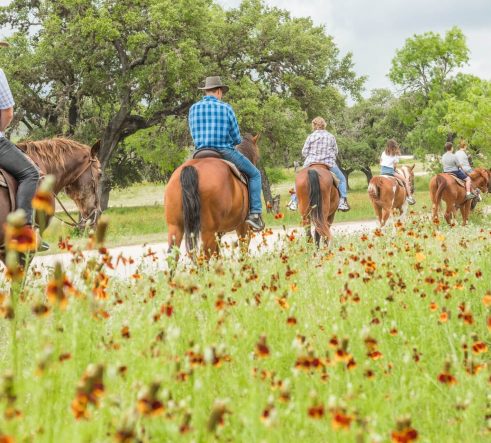 Travel Texas-afbeelding-3