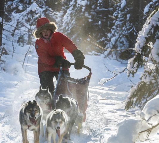 USA-Canada-Reisbeurs-Alaska-Yukon-Afbeelding-5