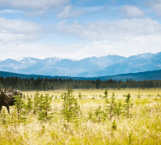 USA-Canada-Reisbeurs-West-Canada-Afbeelding-1