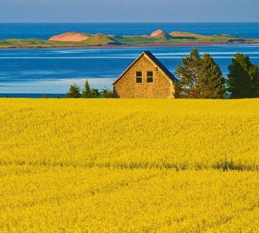USA-Canada-Reisbeurs-West-Canada-Afbeelding-6